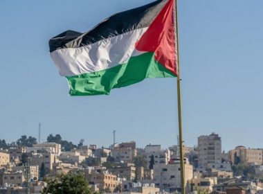 bendera palestina yang besar berkibar di atas kota 1753427985840 169