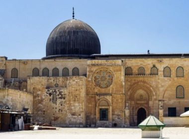 whatsapp image 2025 11 02 at 16.14.33