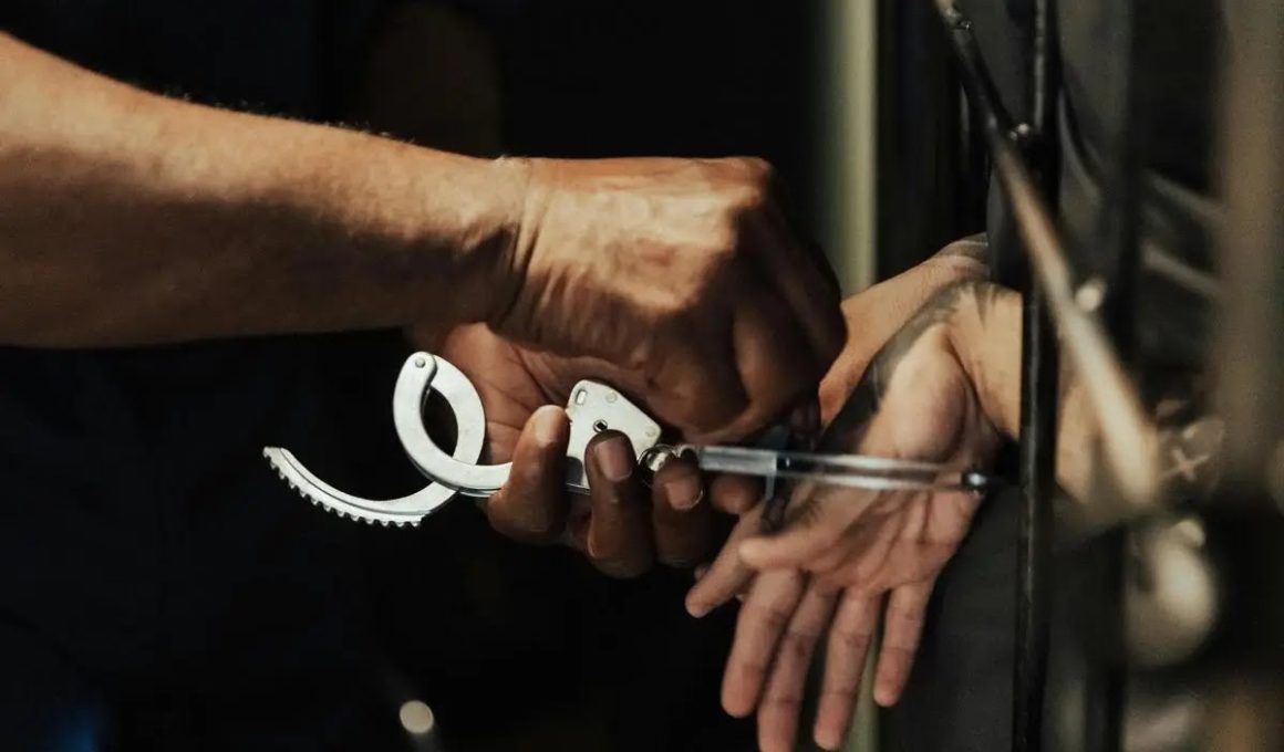 pexels ron lach 10475172 dbf799dd 96f3 4853 b485 f3e7aad4b7fd