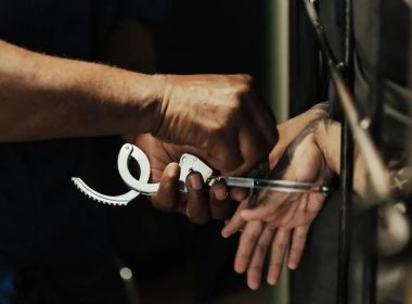 pexels ron lach 10475172 dbf799dd 96f3 4853 b485 f3e7aad4b7fd